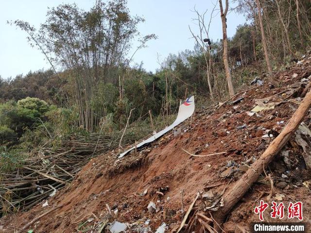 广西武警官兵抵达东航客机坠毁现场展开紧急救援组图