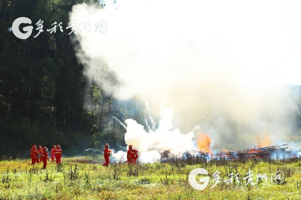 贵州省贵阳市举行2018年森林防火演练(组图)
