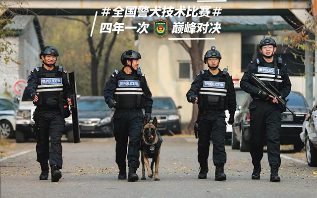 第五届全国警犬技术比赛在京举行(组图)