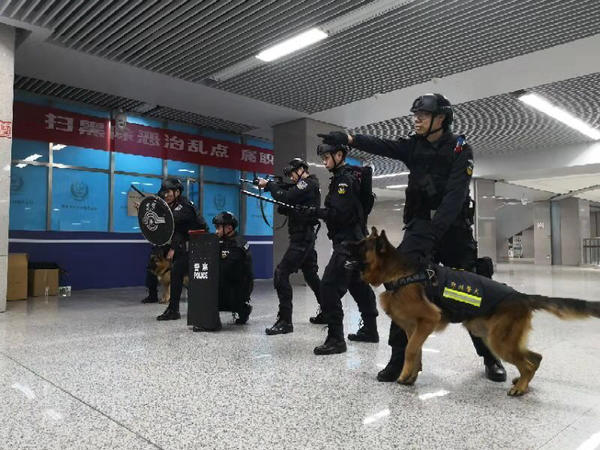 警犬上站巡逻 河南郑州地铁公安启动社会稳定二级勤务模式(组图)