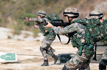 驻香港部队组织多军兵种联合演练(组图)