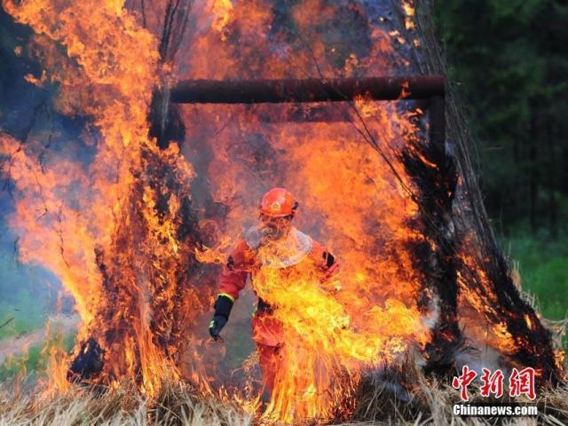 吉林森林消防“新兵”奋不顾身闯“火场”