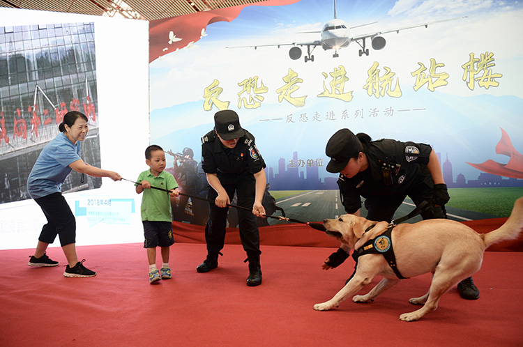 反恐宣传进首都国际机场 旅客警犬举行“拔河”比赛(组图)