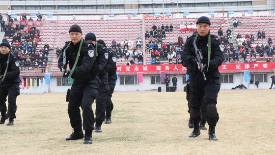 震撼！北京海淀全警实战大练兵，特警队员和警犬进行“搜爆”等表演(组图)
