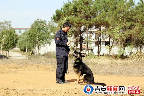 警犬有了新家 江西省吉安市永丰公安警犬训练基地正式投入使用(图)