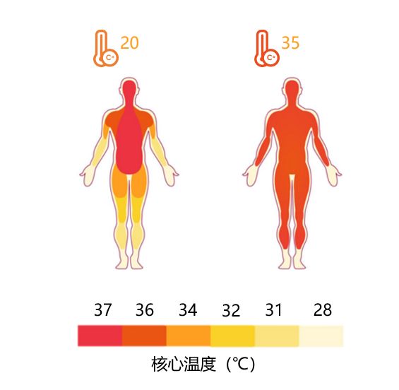 解读：红外热成像做体温筛检靠谱嘛？(附视频)