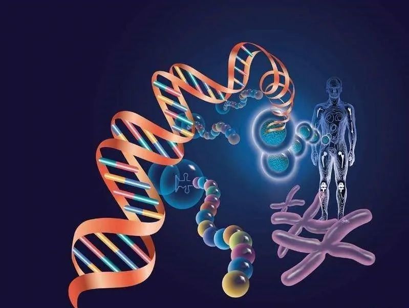 屡破奇案，DNA鉴定技术有何神奇之处(组图)