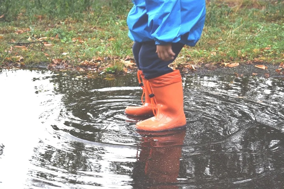 一份暴雨洪灾避险自救指南