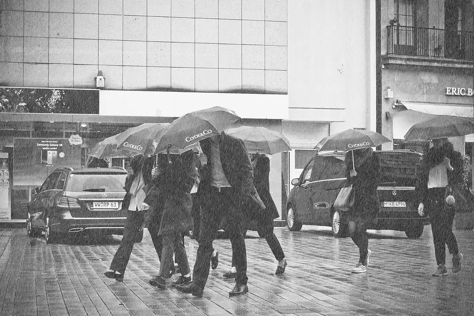 一份暴雨洪灾避险自救指南