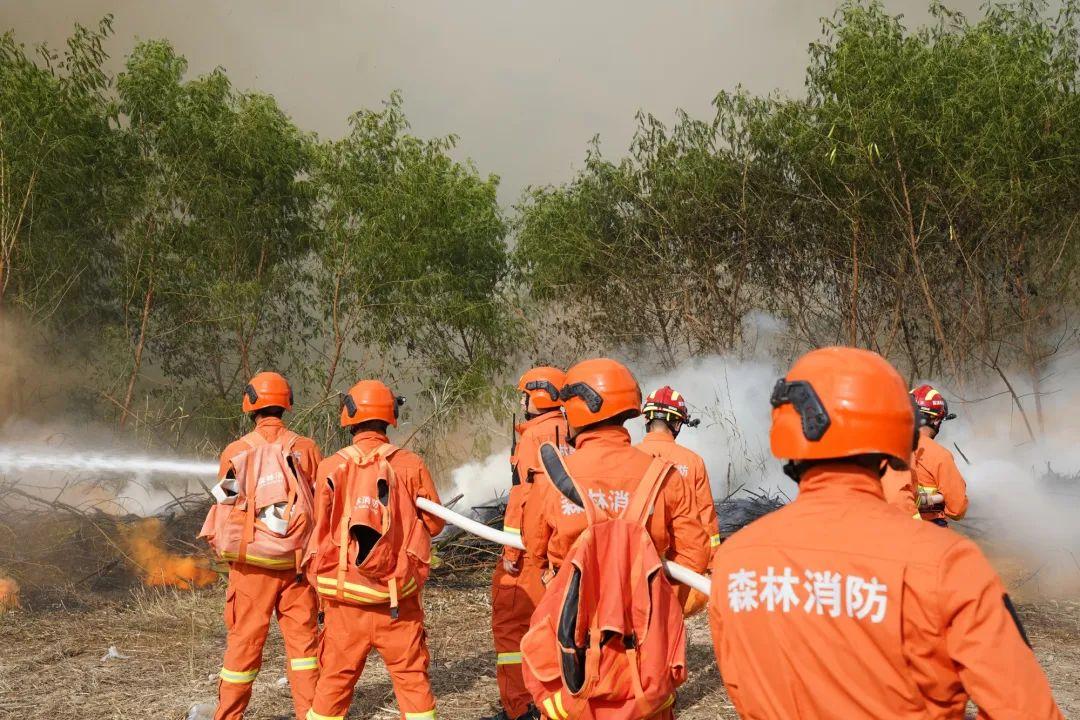 实战练兵，亮点纷呈！广东省深圳市成功举办2021年森林火灾应急演练(组图)