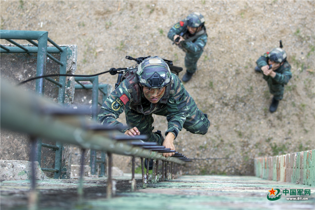 实战实训砺尖兵！武警广西总机动支队反恐演练影像(组图)