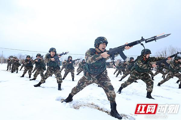 “年味”淡去“战味”浓 湖南武警岳阳支队演训场上练兵忙(组图)