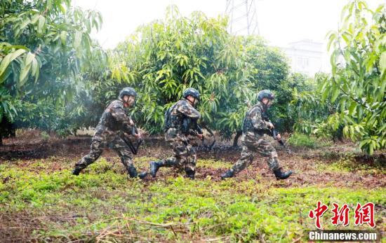 广西梧州武警官兵开展实战训练 提升恶劣环境应对能力(组图)