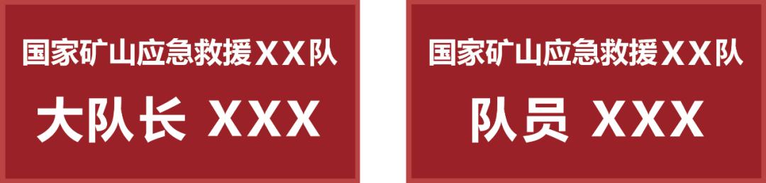 公布！国家安全生产专业应急救援队标志标识规范(组图)