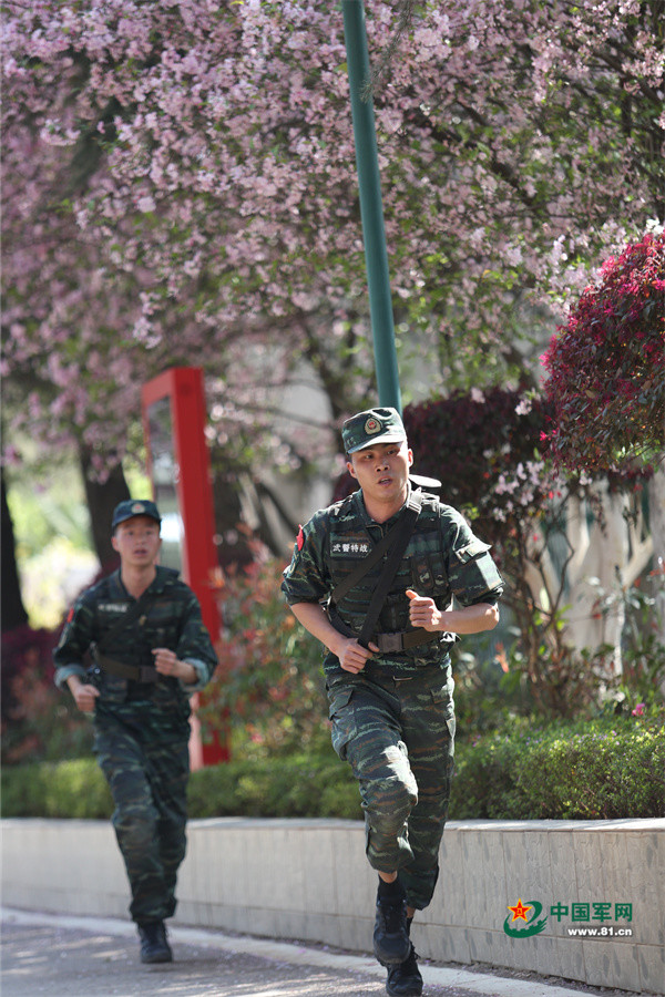 雲南春城練兵戰味濃武警特戰偵察軍事對抗熱力開賽組圖