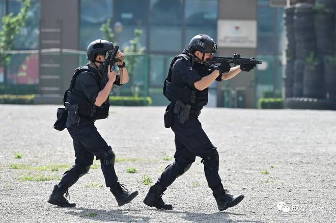 黑豹出击萌犬出动四川成都特警锤炼精兵护航大运会组图