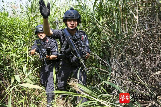 传承龙虎精神，苦练特警尖兵——江苏省南京市公安局特警支队龙虎突击大队冒着酷暑拉练(组图)