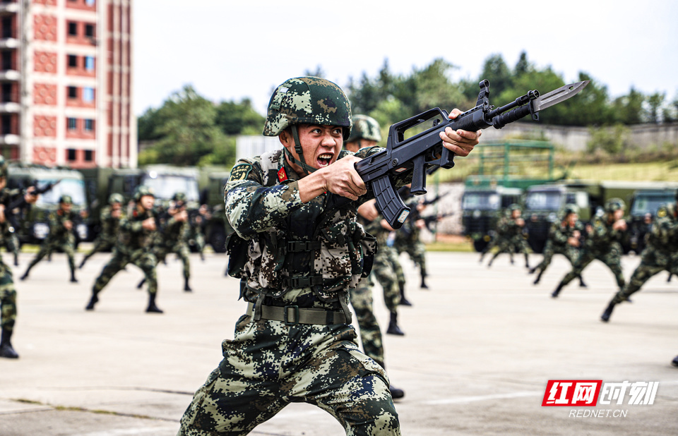 战高温砺精兵 直击武警湖南总队某部练兵备战现场(组图)