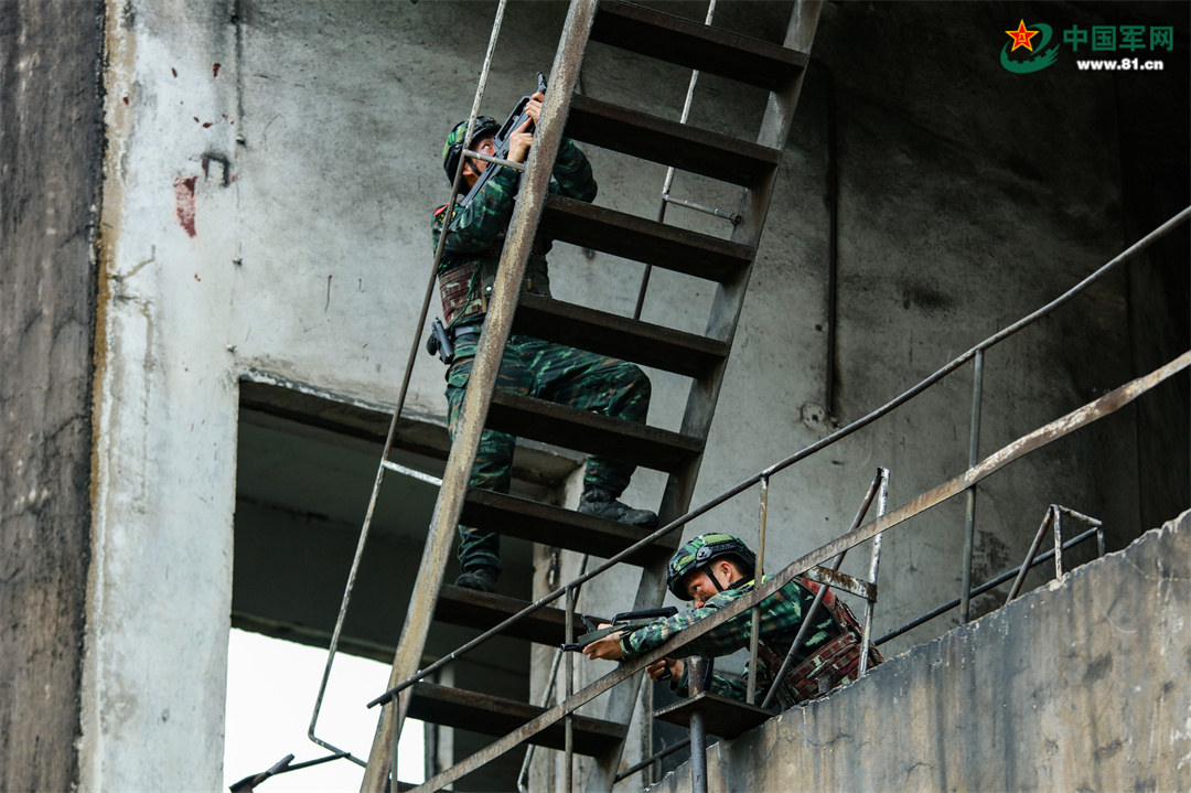 演练！直击武警官兵实战化练兵现场(组图)