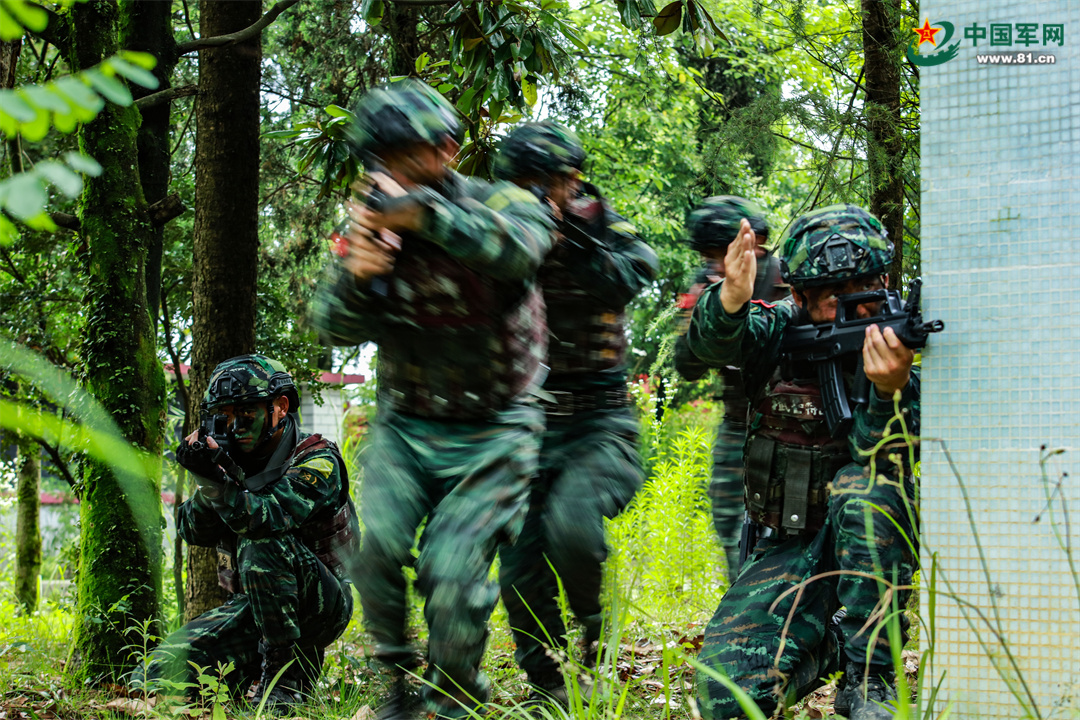 演练！直击武警官兵实战化练兵现场(组图)