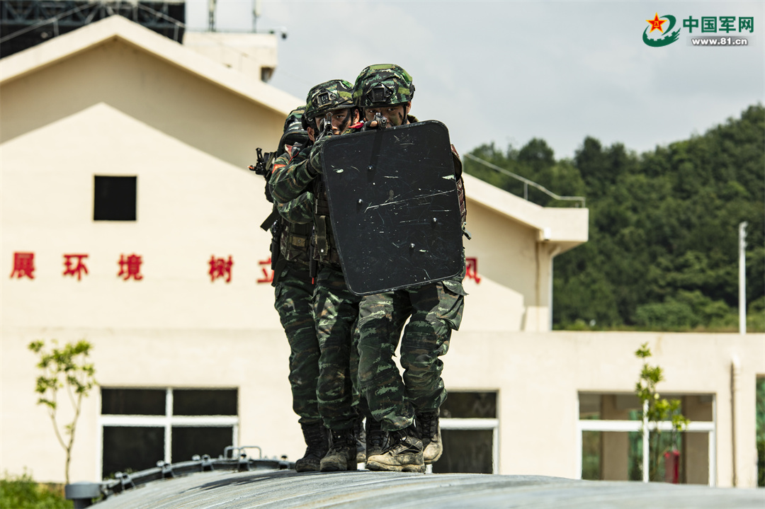 演练！直击武警官兵实战化练兵现场(组图)