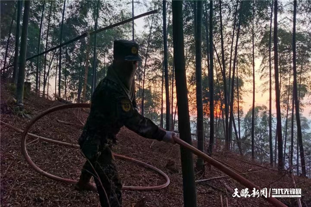 昼夜奋战！贵州武警遵义支队官兵天台山持续扑火救援(组图)