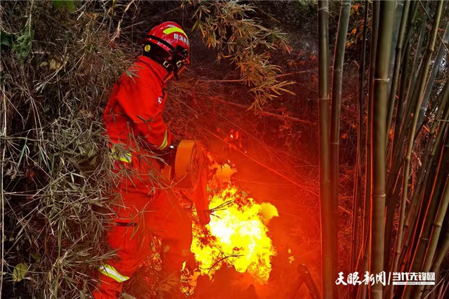 昼夜奋战！贵州武警遵义支队官兵天台山持续扑火救援(组图)