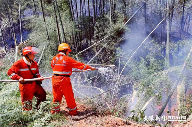 昼夜奋战！贵州武警遵义支队官兵天台山持续扑火救援(组图)