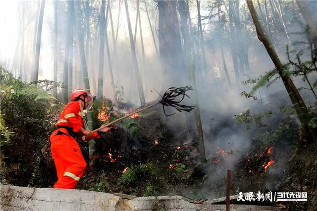 昼夜奋战！贵州武警遵义支队官兵天台山持续扑火救援(组图)