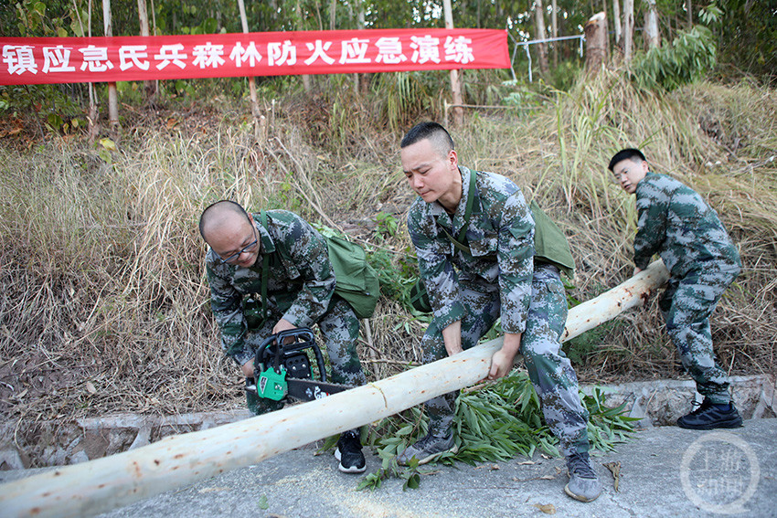重庆：森林防火应急演练 守护森林安全防线(组图)
