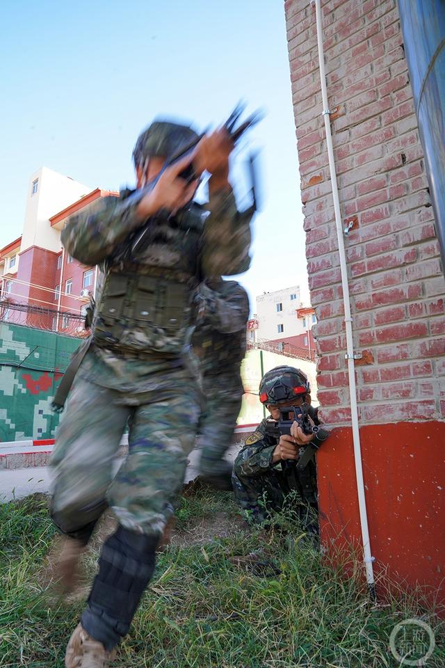 霜降时节，武警第一机动总队某支队沙场练兵正当时(组图)