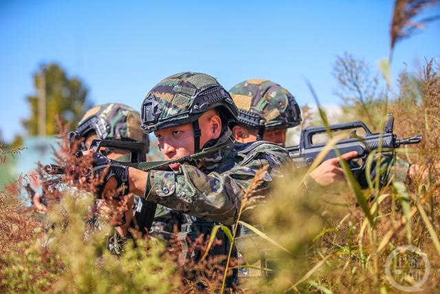 霜降时节，武警第一机动总队某支队沙场练兵正当时(组图)