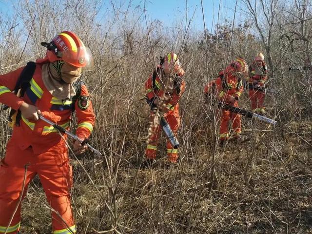 山东蓬莱突发“山火”！多部门联合组织森林灭火实战演练(组图)