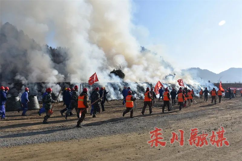 造！河南栾川这场实战演练“战味”十足(组图)