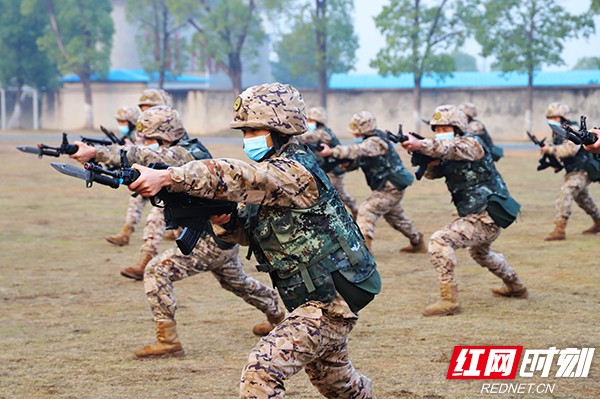 春到演训场 湖南武警常德支队练兵正当时(组图)