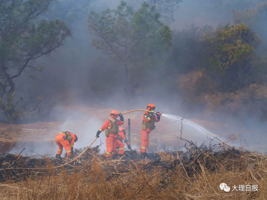 云南省2023年度森林草原火险高危区火灾应急处置联合实战演练在洱源县举行(组图)