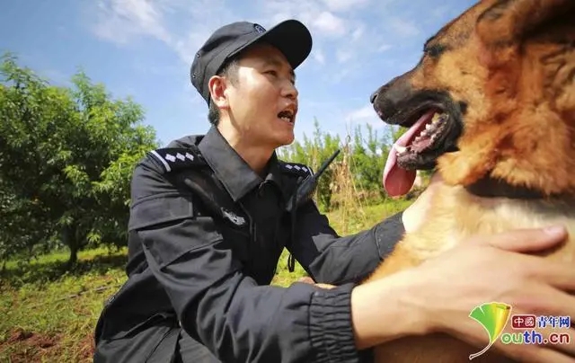 四川西昌铁警警犬队：“1+1”演绎警务技术别样风景(组图)