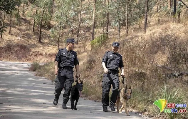 四川西昌铁警警犬队：“1+1”演绎警务技术别样风景(组图)