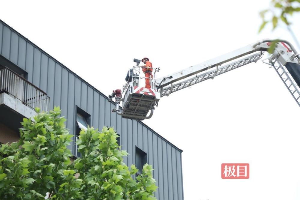 湖北省武汉市东湖高新区举办地震应急综合演练，00后大学生首次参演，无人机、功勋犬显神威(组图)