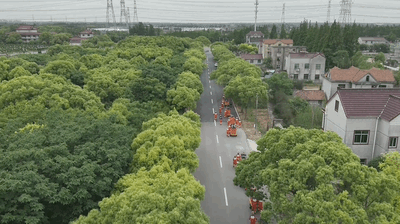 上海市消防救援总队开展地震灾害救援实战拉动演练(组图)