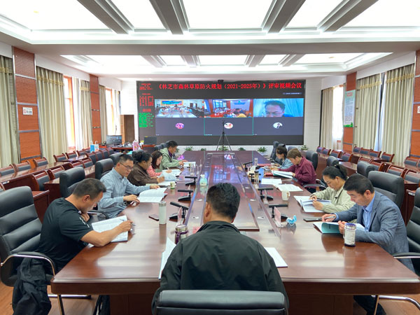 西藏：《林芝市森林和草原防火规划（2021-2025年）》顺利通过评审(图)