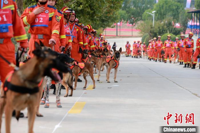 第七届全国消防搜救犬技术比武竞赛在山东济南举行(组图)