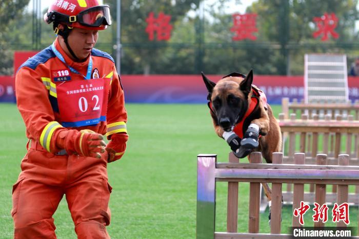 第七届全国消防搜救犬技术比武竞赛在山东济南举行(组图)