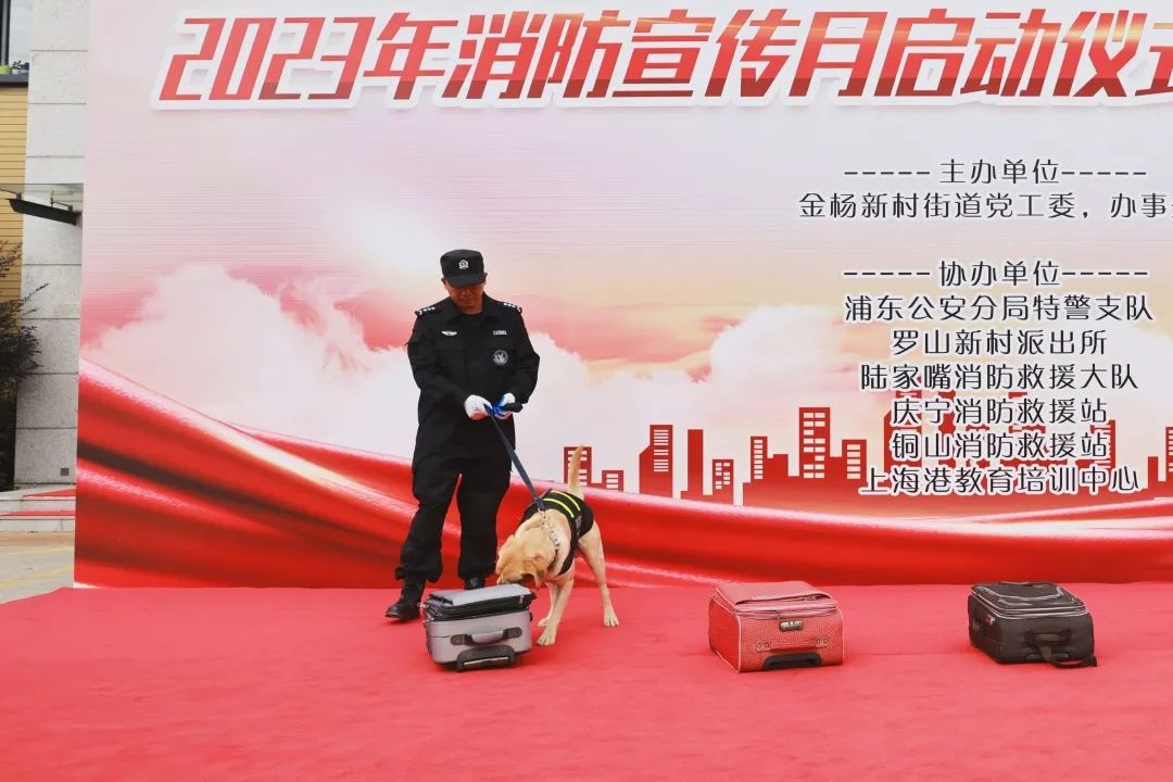 上海浦东：特警、消防、警犬……这场演练很“较真”(组图)