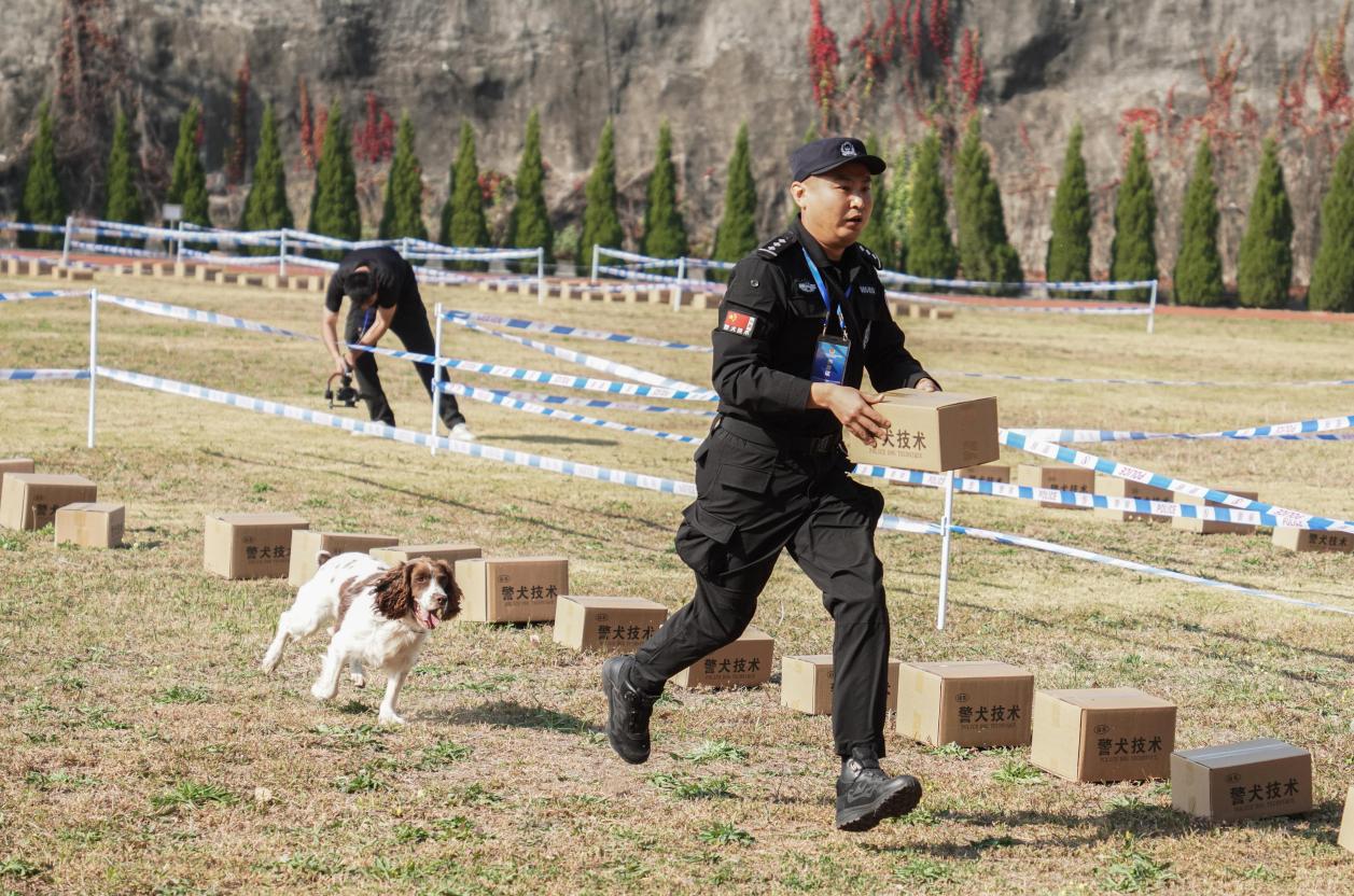 2023年山东省公安机关警犬技术实战比武竞赛在济南举行(组图)