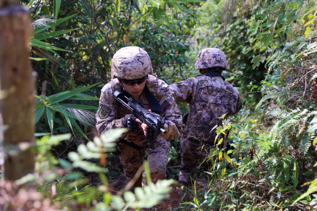 百练求打赢 实战淬精兵——武警普洱支队掀起实战化练兵热潮(组图)