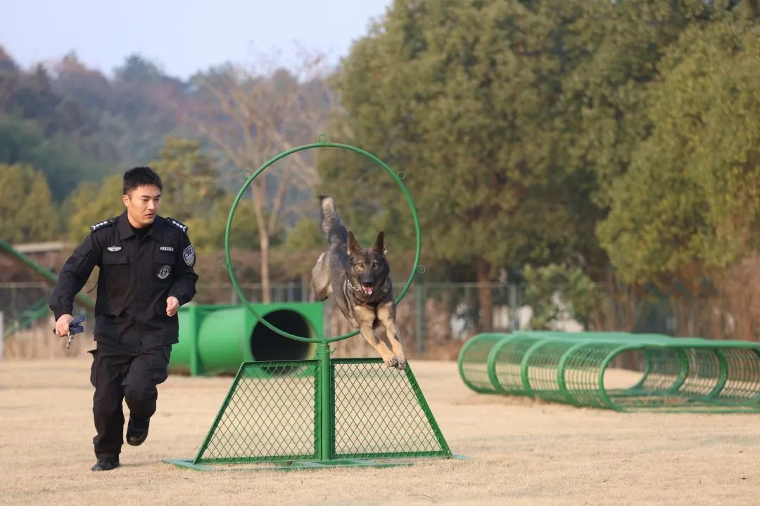 厉兵秣马练精兵，浙江德清公安特警大队掀起冬季练兵热潮(组图)