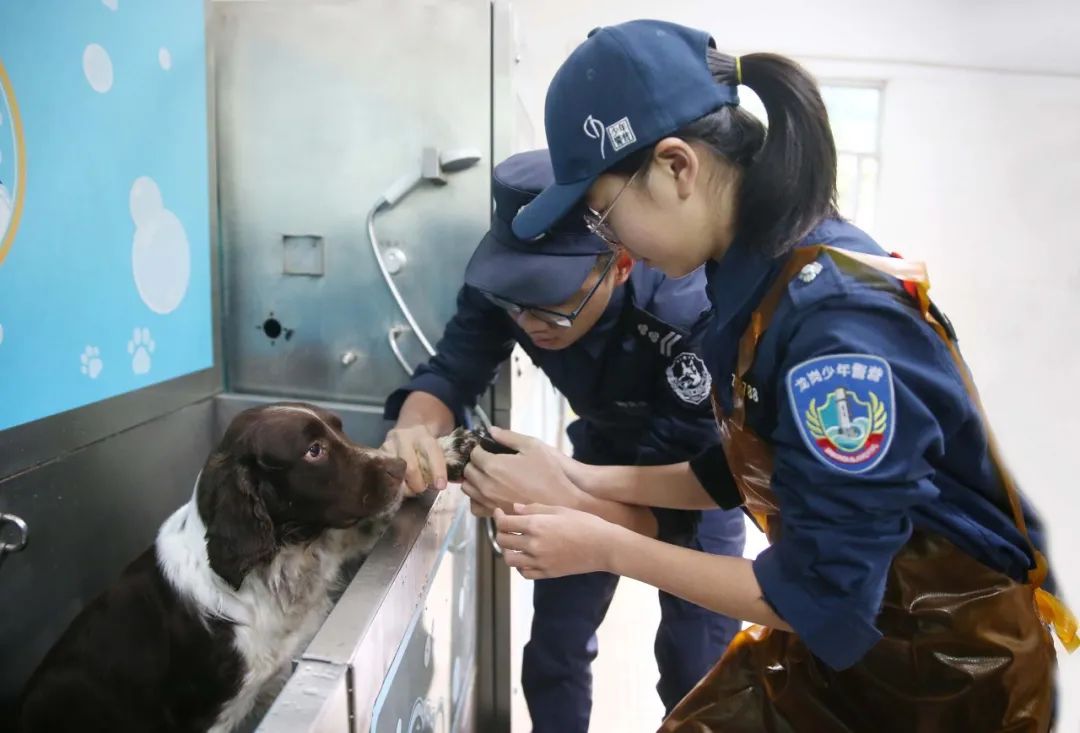 广东深圳公安举行首期常态化警营开放日，警犬“战斗员”硬核出战(组图)